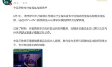 开云APP下载:樊振东加盟德甲年薪多少钱？球队经理回应樊振东德甲联赛待遇